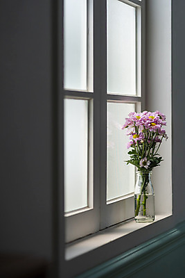 포토 JPG 스튜디오촬영 식물 꽃 창문 실내 사람없음 인테리어 꽃병 창가 오브젝트 감성 마거리트 국내포토 디자인 컨셉 내부 파일형식