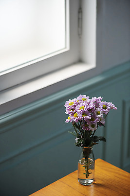 포토 JPG 스튜디오촬영 식물 꽃 창문 실내 사람없음 인테리어 꽃병 창가 오브젝트 감성 마거리트 국내포토 디자인 컨셉 내부 파일형식