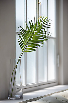 포토 JPG 스튜디오촬영 식물 꽃 창문 나뭇잎 실내 사람없음 인테리어 꽃병 창가 오브젝트 감성 국내포토 디자인 컨셉 잎 내부 파일형식