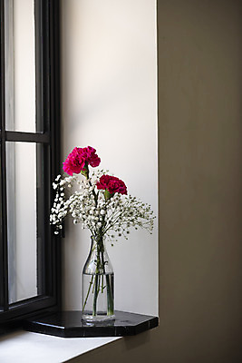 포토 JPG 스튜디오촬영 식물 꽃 창문 실내 사람없음 인테리어 꽃병 어버이날 스승의날 창가 카네이션 오브젝트 감성 국내포토 디자인 기념일 컨셉 내부 파일형식