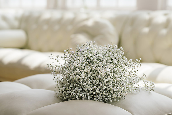 포토 JPG 스튜디오촬영 식물 꽃 꽃다발 실내 사람없음 인테리어 소파 오브젝트 감성 안개꽃 국내포토 디자인 컨셉 의자 내부 한해살이풀 파일형식