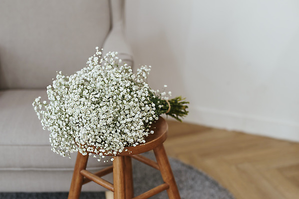 포토 JPG 스튜디오촬영 식물 꽃 꽃다발 의자 실내 사람없음 인테리어 소파 오브젝트 감성 안개꽃 국내포토 디자인 가구 컨셉 내부 한해살이풀 파일형식