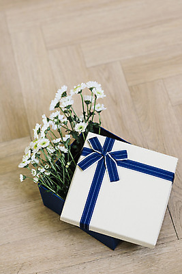 포토 JPG 스튜디오촬영 식물 꽃 국화 실내 사람없음 선물상자 인테리어 오브젝트 감성 국내포토 디자인 컨셉 선물 내부 상자 파일형식