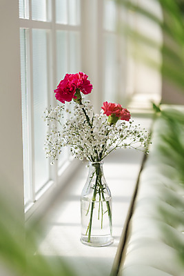 포토 JPG 스튜디오촬영 식물 꽃 창문 실내 사람없음 아웃포커스 인테리어 꽃병 어버이날 스승의날 창가 카네이션 오브젝트 감성 안개꽃 국내포토 디자인 기념일 컨셉 촬영기법 내부 한해살이풀 파일형식