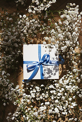 포토 JPG 스튜디오촬영 식물 꽃 실내 사람없음 선물상자 인테리어 오브젝트 감성 안개꽃 국내포토 디자인 컨셉 선물 내부 상자 한해살이풀 파일형식