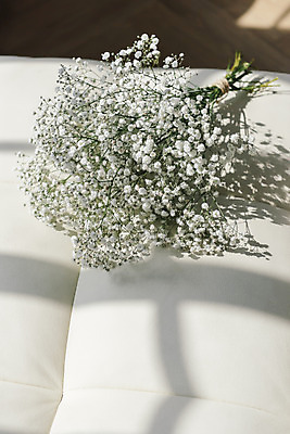 포토 JPG 스튜디오촬영 식물 꽃 꽃다발 실내 사람없음 인테리어 소파 오브젝트 감성 안개꽃 국내포토 디자인 컨셉 의자 내부 한해살이풀 파일형식