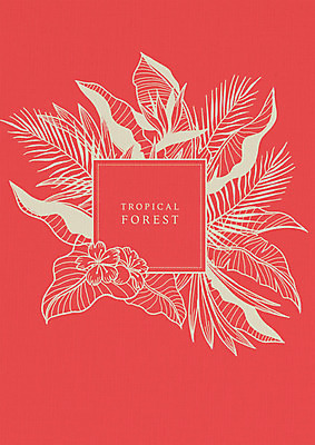 PSD 식물 꽃 잎 라인일러스트 일러스트 사각프레임 프레임 사람없음 빨간색 감성 드로잉 국내일러스트 컬러 컨셉 미술 사각형 파일형식