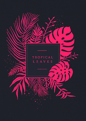 PSD 식물 꽃 분홍색 라인일러스트 일러스트 사각프레임 프레임 사람없음 검은색 감성 드로잉 국내일러스트 컬러 컨셉 미술 사각형 파일형식