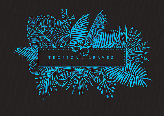 PSD 식물 꽃 잎 라인일러스트 일러스트 사각프레임 프레임 사람없음 파란색 검은색 감성 드로잉 국내일러스트 컬러 컨셉 미술 사각형 파일형식