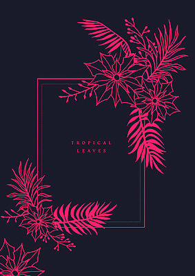 PSD 식물 꽃 분홍색 라인일러스트 일러스트 사각프레임 프레임 사람없음 검은색 감성 드로잉 포인세티아 국내일러스트 컬러 컨셉 미술 사각형 파일형식