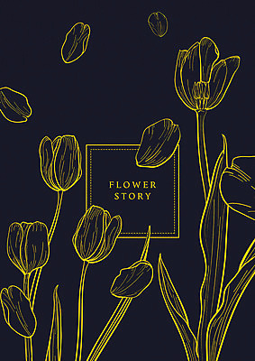 PSD 식물 꽃 라인일러스트 일러스트 사각프레임 프레임 사람없음 노란색 검은색 튤립 감성 드로잉 국내일러스트 컬러 컨셉 미술 사각형 파일형식