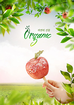 PSD 편집이미지 손 음식 자연 한손 들기 타이포그라피 신체부위 초록색 신선 사과 유기농 사과나무 얼림 이미지편집 나무 문자 웰빙 컬러 컨셉 과일 모션 사람 생태계 파일형식