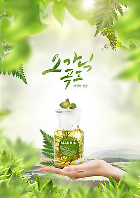 PSD 편집이미지 손 자연 한손 들기 타이포그라피 신체부위 초록색 신선 올리브오일 병 유기농 이미지편집 문자 식기 웰빙 컬러 모션 사람 기름_음식 생태계 파일형식