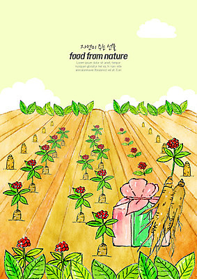 PSD 음식 일러스트 식재료 자연 수채화 풍경 사람없음 초록색 농작물 농장 한약재 신선 인삼 유기농 선물세트 먹거리 인삼꽃 인삼밭 로컬푸드 국내일러스트 웰빙 꽃 컬러 밭 농업 선물 농산물 약재 삼 생태계 파일형식