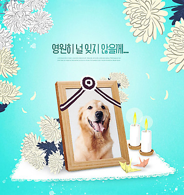PSD 편집이미지 한마리 꽃 반려견 액자 초 국화 사람없음 반려동물 개 골든리트리버 강아지 종이학 장례 민트색 반려 영정사진 장례식 추모 카피스페이스 이미지편집 펫로스증후군 반려동물장례 식물 동물 1 컬러 포유류 공백 리트리버 질병 종이접기 파일형식
