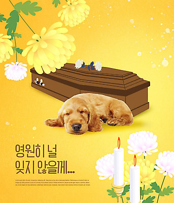 PSD 편집이미지 한마리 꽃 반려견 초 국화 사람없음 반려동물 노란색 눈감음 개 관 장례 반려 장례식 추모 카피스페이스 이미지편집 펫로스증후군 반려동물장례 식물 동물 1 컬러 포유류 모션 공백 질병 파일형식