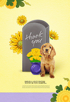 PSD 편집이미지 한마리 꽃 반려견 국화 사람없음 반려동물 슬픔 개 강아지 비석 장례 반려 장례식 추모 카피스페이스 이미지편집 펫로스증후군 반려동물장례 식물 동물 1 감정 포유류 공백 질병 파일형식