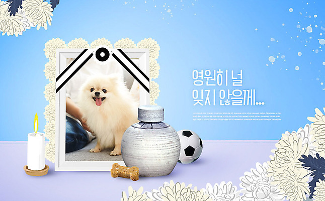 PSD 편집이미지 한마리 꽃 반려견 액자 초 축구공 사람없음 파란색 반려동물 개 강아지 장례 반려 영정사진 장례식 추모 카피스페이스 이미지편집 반려용품 펫로스증후군 반려동물장례 식물 동물 1 컬러 공 축구용품 포유류 공백 질병 오브젝트 파일형식
