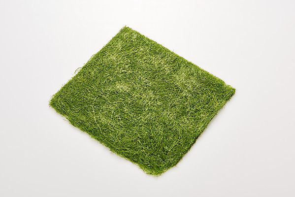 포토 JPG 스튜디오촬영 식재료 반찬 건조 실내 누끼 사람없음 하이앵글 해조류 해초 흰배경 감태 국내포토 음식 뷰포인트 백그라운드 내부 흰색 해양식물 파일형식