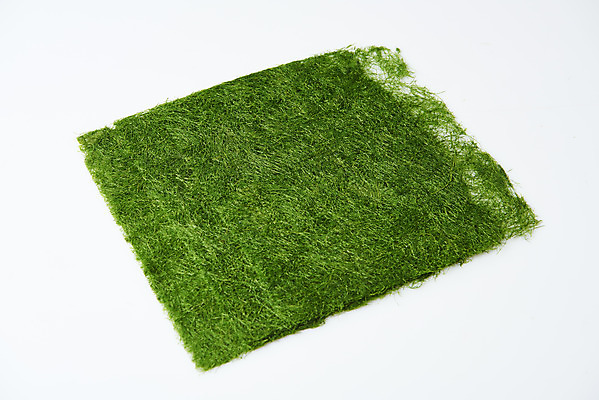 포토 JPG 스튜디오촬영 식재료 반찬 건조 실내 누끼 사람없음 하이앵글 해조류 해초 흰배경 감태 국내포토 음식 뷰포인트 백그라운드 내부 흰색 해양식물 파일형식