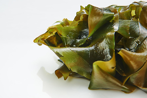 포토 JPG 스튜디오촬영 식재료 반찬 실내 누끼 근접촬영 사람없음 하이앵글 해조류 해초 흰배경 미역 국내포토 음식 뷰포인트 백그라운드 내부 흰색 해양식물 파일형식