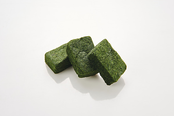 포토 JPG 스튜디오촬영 식재료 반찬 건조 실내 누끼 사람없음 하이앵글 해조류 해초 흰배경 매생이 국내포토 음식 뷰포인트 백그라운드 내부 흰색 해양식물 파일형식