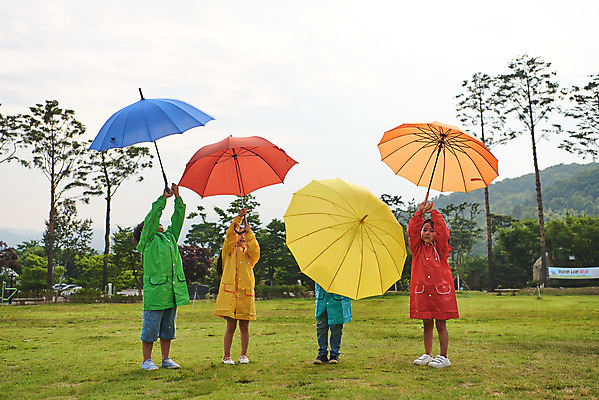 포토 JPG 주간 전신 나무 공원 여자 남자 어린이라이프 초등학생 어린이 우산 자연 날씨 들기 소녀 소년 잔디 여러명 야외 앞모습 여름 친구 컬러풀 한국인 체험학습 비 우비 용인 휴양림 어린이만 국내포토 자연요소 식물 학생 라이프스타일 옷 계절 공공시설 뷰포인트 컬러 다수 관계 모션 사람 동양인 체험 생태계 경기도 파일형식