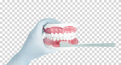 편집이미지 손 누끼 사람 성인 사람없음 신체부위 양치 잡기 칫솔 오브젝트 수술장갑 치아모형 PNG 시범 편집소스 장갑 모션 위생용품 청결 치아 파일형식