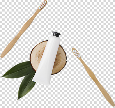 편집이미지 나뭇잎 누끼 사람없음 칫솔 오브젝트 치약 PNG 나무받침 편집소스 잎 목재 위생용품 받침대 파일형식