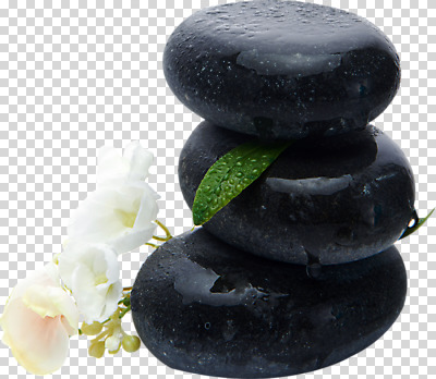 편집이미지 꽃 잎 누끼 사람없음 쌓기 스파 세개 편안함 오브젝트 아로마 아로마테라피 테라피 PNG 스톤 편집소스 식물 모션 3 뷰티 감각 파일형식