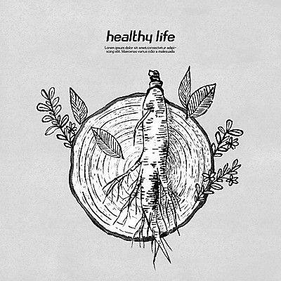 PSD 나무 라인일러스트 일러스트 흑백 건강 사람없음 한의학 약재 한약재 인삼 유기농 보양식 건강식품 내추럴 국내일러스트 식물 웰빙 음식 의학 촬영기법 약 삼 몸보신 파일형식