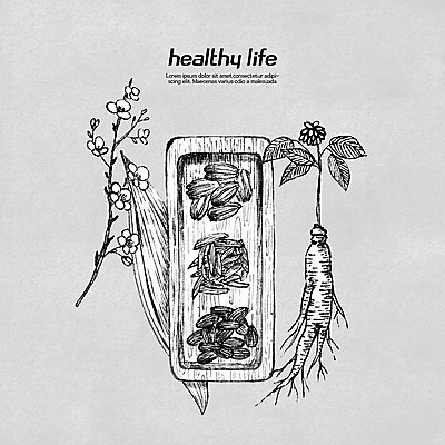 PSD 라인일러스트 일러스트 쟁반 흑백 건강 사람없음 한의학 약재 한약재 인삼 유기농 보양식 건강식품 국내일러스트 웰빙 음식 의학 촬영기법 약 삼 몸보신 파일형식