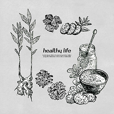 PSD 라인일러스트 일러스트 흑백 사람없음 한의학 약재 한약재 유기농 보양식 건강식품 꿀 생강 생강차 한방차 국내일러스트 웰빙 음식 채소 의학 촬영기법 건강 차_음료 약 전통차 몸보신 파일형식