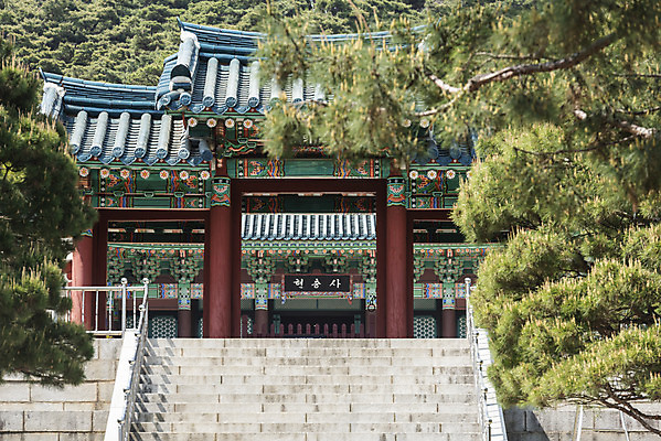 포토 JPG 주간 한국전통 여행 유적지 풍경 사람없음 야외 관광지 맑음 봄 세계문화유산 문화재 소나무 역사 한국사 충청도 사적지 충무공 현충사 아산 충의문 국내포토 자연요소 나무 전통 계절 고건축 날씨 한국 충청남도 파일형식