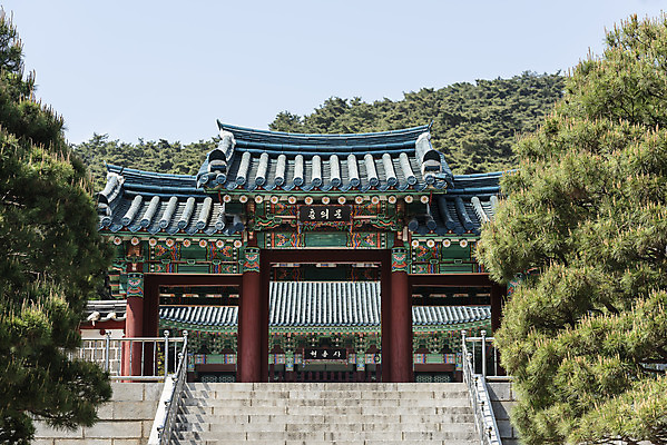 포토 JPG 주간 한국전통 여행 유적지 풍경 사람없음 야외 관광지 맑음 봄 세계문화유산 문화재 소나무 역사 한국사 충청도 사적지 충무공 현충사 아산 충의문 국내포토 자연요소 나무 전통 계절 고건축 날씨 한국 충청남도 파일형식