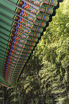 포토 JPG 주간 나무 한국전통 여행 유적지 단청문양 풍경 사람없음 야외 관광지 맑음 봄 세계문화유산 문화재 역사 한국사 단청 충청도 사적지 충무공 현충사 아산 국내포토 자연요소 식물 전통 문양 계절 고건축 날씨 한국 충청남도 파일형식