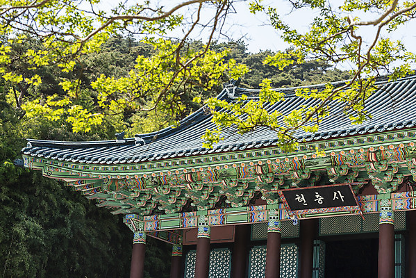 포토 JPG 주간 나무 한국전통 여행 유적지 풍경 사람없음 야외 관광지 맑음 봄 세계문화유산 문화재 역사 한국사 충청도 사적지 충무공 현충사 아산 국내포토 자연요소 식물 전통 계절 고건축 날씨 한국 충청남도 파일형식