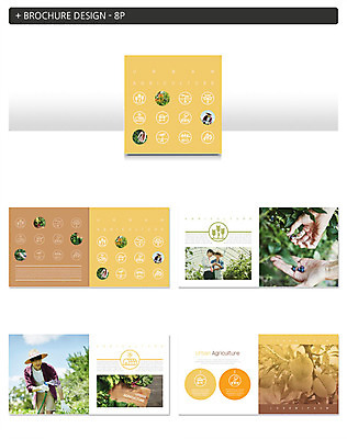 템플릿 남자 ZIP 농업 과일 팜플렛 여러명 20대 성인 신체부위 노란색 한국인 원형 농부 주말농장 성인남자만 인디자인 INDD 청년농부 이미지템플릿 도형 직업 산업 컬러 다수 사람 동양인 청년 농장 남자만 성인만 파일형식