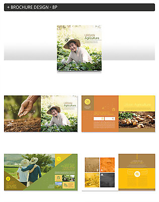 템플릿 손 노년 남자 ZIP 농업 감자 팜플렛 여러명 20대 성인 신체부위 주황색 한국인 60대 농부 주말농장 남자만 인디자인 INDD 청년농부 이미지템플릿 직업 산업 컬러 다수 채소 사람 동양인 청년 농장 파일형식