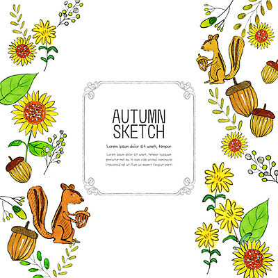 PSD 계절 열매 단풍 낙엽 일러스트 해바라기 프레임 사람없음 컬러풀 가을 스케치 오브젝트 다람쥐 도토리 국내일러스트 식물 꽃 컬러 잎 미술 견과류 설치류 파일형식