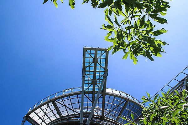 포토 JPG 주간 나무 건축물 로우앵글 여행 한국 풍경 사람없음 야외 여름 관광지 햇빛 맑음 여름풍경 국내여행 명승지 단양스카이워크 국내포토 자연요소 식물 계절 건축 아시아 뷰포인트 날씨 태양 단양 랜드마크 파일형식 여름_계절