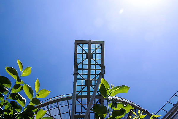 포토 JPG 주간 나무 건축물 로우앵글 여행 한국 풍경 사람없음 야외 여름 관광지 햇빛 맑음 여름풍경 국내여행 명승지 단양스카이워크 국내포토 자연요소 식물 계절 건축 아시아 뷰포인트 날씨 태양 단양 랜드마크 파일형식 여름_계절