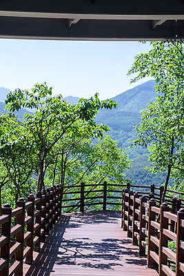 포토 JPG 주간 나무 여행 산 한국 풍경 사람없음 야외 여름 관광지 맑음 여름풍경 산책로 국내여행 명승지 단양스카이워크 국내포토 자연요소 식물 계절 아시아 길 날씨 단양 랜드마크 파일형식 여름_계절