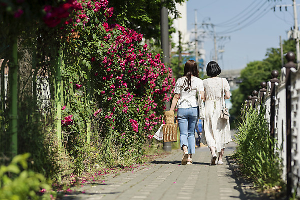 포토 JPG 주간 전신 우먼라이프 원피스 여자 데이트 거리 들기 20대 성인 야외 두명 뒷모습 캐주얼 여름 친구 소풍 걷기 우정 한국인 즐거움 소풍바구니 에코백 성인여자만 소확행 인싸 국내포토 자연요소 라이프스타일 옷 계절 감정 뷰포인트 가방 관계 모션 사람 동양인 청년 야외활동 바구니 에코 신조어 약어 여자만 성인만 파일형식