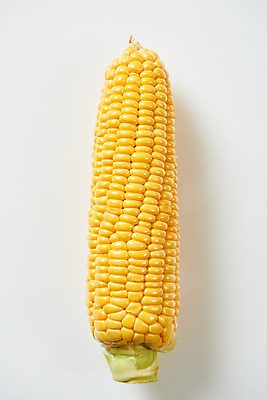 포토 JPG 스튜디오촬영 식재료 곡류 실내 옥수수 누끼 사람없음 하이앵글 한개 흰색 신선 흰배경 유기농 플랫레이 제철음식 초당옥수수 국내포토 1 웰빙 음식 뷰포인트 컬러 백그라운드 내부 플랫 제철 파일형식