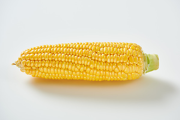 포토 JPG 스튜디오촬영 식재료 곡류 실내 옥수수 누끼 사람없음 하이앵글 한개 흰색 신선 흰배경 유기농 제철음식 초당옥수수 국내포토 1 웰빙 음식 뷰포인트 컬러 백그라운드 내부 제철 파일형식