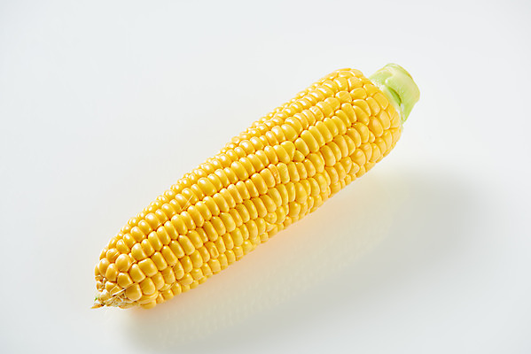 포토 JPG 스튜디오촬영 식재료 곡류 실내 옥수수 누끼 사람없음 하이앵글 한개 흰색 신선 흰배경 유기농 플랫레이 제철음식 초당옥수수 국내포토 1 웰빙 음식 뷰포인트 컬러 백그라운드 내부 플랫 제철 파일형식