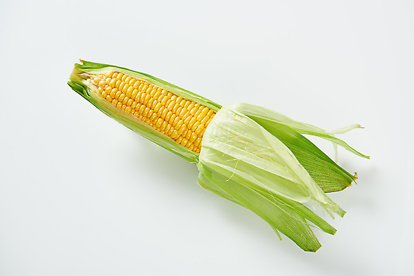 포토 JPG 스튜디오촬영 식재료 곡류 실내 옥수수 누끼 사람없음 하이앵글 한개 흰색 신선 흰배경 유기농 플랫레이 제철음식 초당옥수수 국내포토 1 웰빙 음식 뷰포인트 컬러 백그라운드 내부 플랫 제철 파일형식