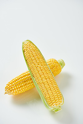 포토 JPG 스튜디오촬영 식재료 곡류 실내 옥수수 누끼 사람없음 하이앵글 두개 흰색 신선 흰배경 유기농 제철음식 초당옥수수 국내포토 웰빙 음식 뷰포인트 컬러 백그라운드 2 내부 제철 파일형식
