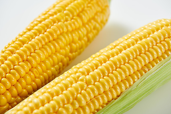 포토 JPG 스튜디오촬영 식재료 곡류 실내 옥수수 누끼 근접촬영 사람없음 두개 흰색 신선 흰배경 유기농 제철음식 초당옥수수 국내포토 웰빙 음식 뷰포인트 컬러 백그라운드 2 내부 제철 파일형식